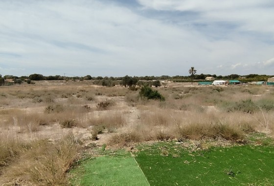 Herverkoop - Finca Landelijk pand -
Elche