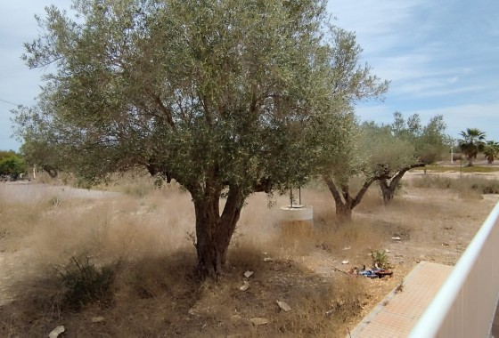 Herverkoop - Finca Landelijk pand -
Elche
