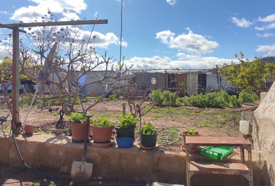 Herverkoop - Finca Landelijk pand -
La Romana