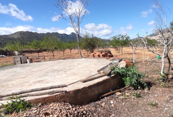 Herverkoop - Finca Landelijk pand -
La Romana