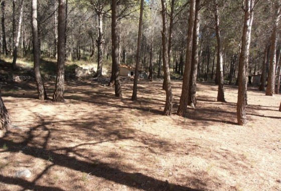 Herverkoop - Finca Landelijk pand -
Castalla