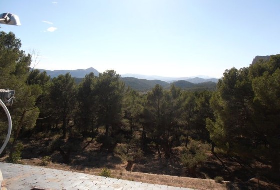 Herverkoop - Finca Landelijk pand -
Castalla