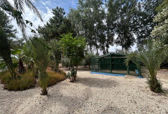 Revente - Finca Propriété rurale -
Crevillente