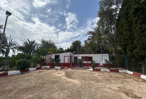 Revente - Finca Propriété rurale -
Crevillente