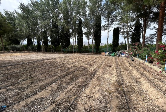 Revente - Finca Propriété rurale -
Crevillente