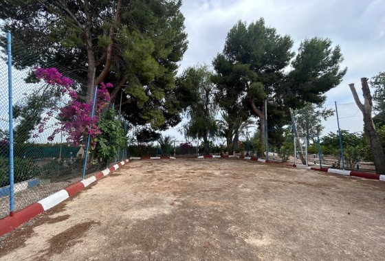 Revente - Finca Propriété rurale -
Crevillente