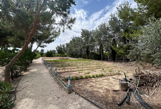 Revente - Finca Propriété rurale -
Crevillente