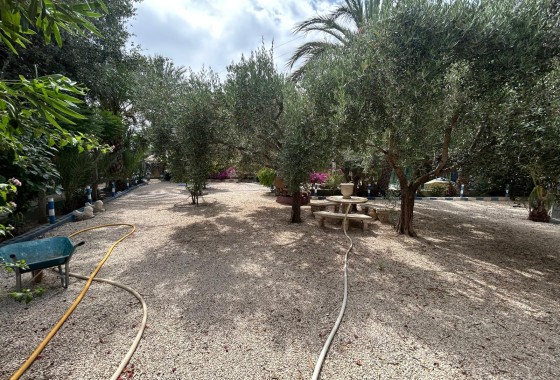 Revente - Finca Propriété rurale -
Crevillente