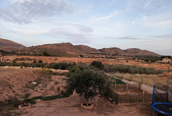 Herverkoop - Finca Landelijk pand -
Alicante