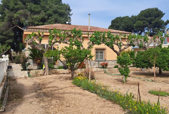 Herverkoop - Finca Landelijk pand -
Novelda