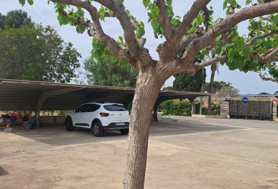 Herverkoop - Finca Landelijk pand -
Novelda