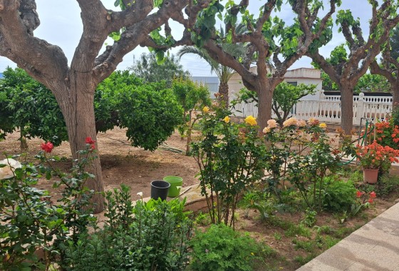 Herverkoop - Finca Landelijk pand -
Novelda