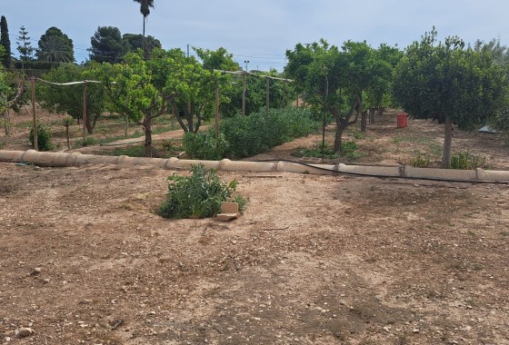 Herverkoop - Finca Landelijk pand -
Novelda