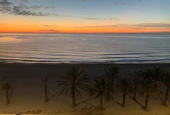Herverkoop - Appartement / Flat -
El Campello