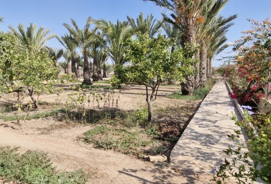 Herverkoop - Finca Landelijk pand -
Elche