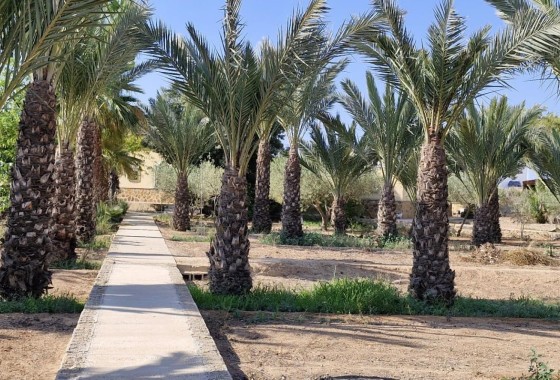 Herverkoop - Finca Landelijk pand -
Elche