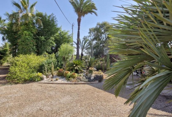 Herverkoop - Finca Landelijk pand -
Elche