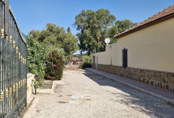 Herverkoop - Finca Landelijk pand -
Elche
