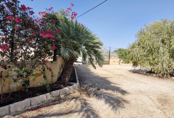 Herverkoop - Finca Landelijk pand -
Elche