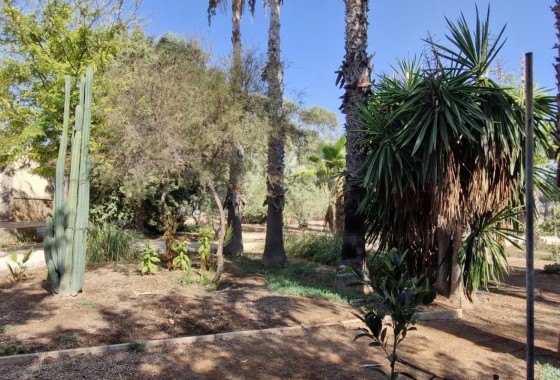 Herverkoop - Finca Landelijk pand -
Elche