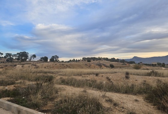 Herverkoop - Finca Landelijk pand -
Monóvar