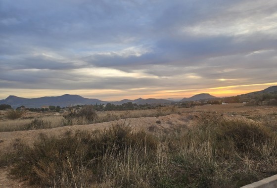 Herverkoop - Finca Landelijk pand -
Monóvar