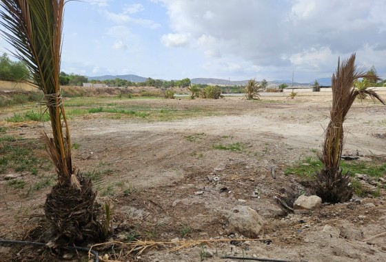 Herverkoop - Finca Landelijk pand -
Orihuela