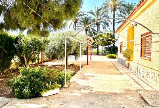 Herverkoop - Finca Landelijk pand -
Elche