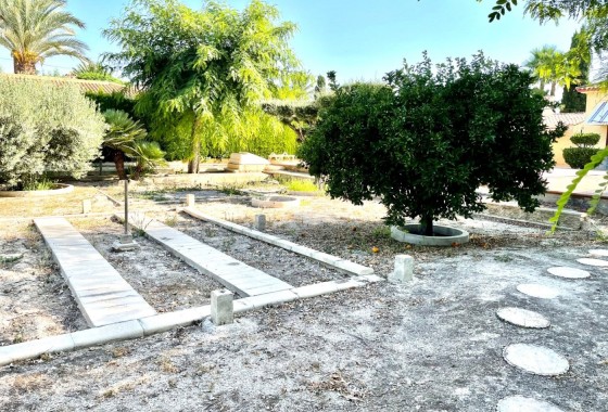 Herverkoop - Finca Landelijk pand -
Elche