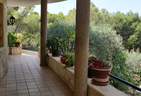 Herverkoop - Finca Landelijk pand -
CAÃADA DE SAN PEDRO