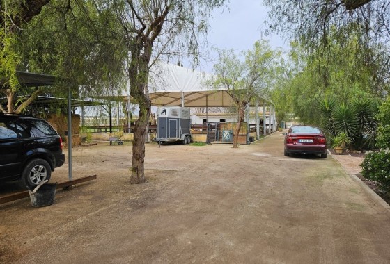 Herverkoop - Finca Landelijk pand -
Orihuela