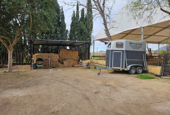 Herverkoop - Finca Landelijk pand -
Orihuela