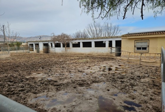 Herverkoop - Finca Landelijk pand -
Orihuela