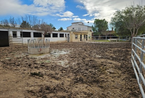 Herverkoop - Finca Landelijk pand -
Orihuela