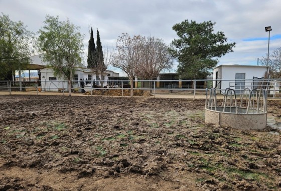 Herverkoop - Finca Landelijk pand -
Orihuela