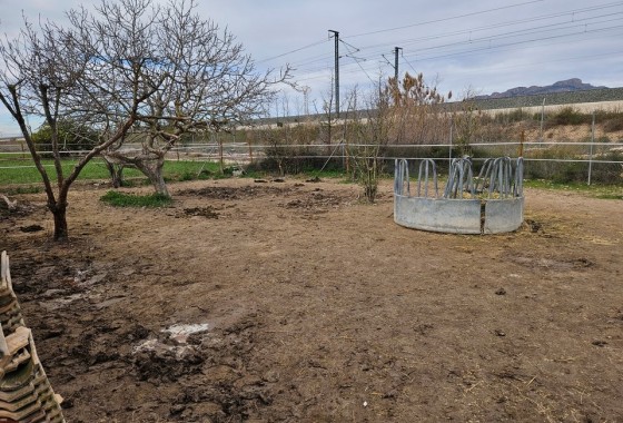 Herverkoop - Finca Landelijk pand -
Orihuela