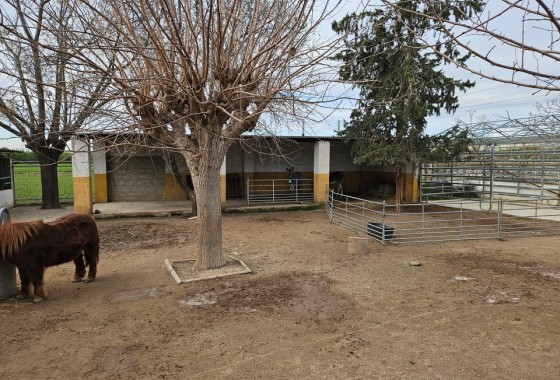 Herverkoop - Finca Landelijk pand -
Orihuela
