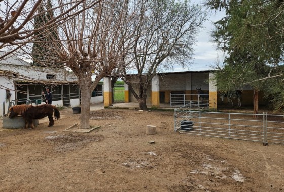 Herverkoop - Finca Landelijk pand -
Orihuela