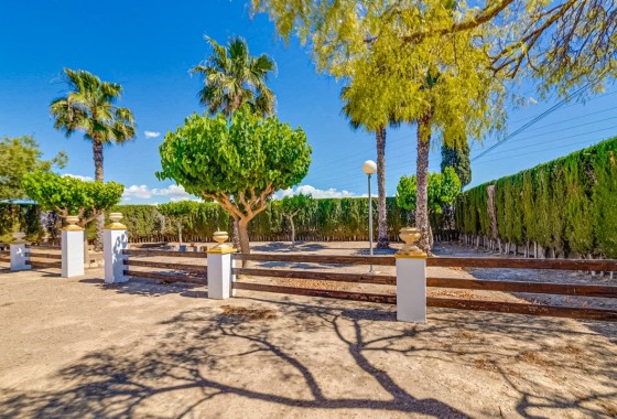 Herverkoop - Finca Landelijk pand -
Jacarilla