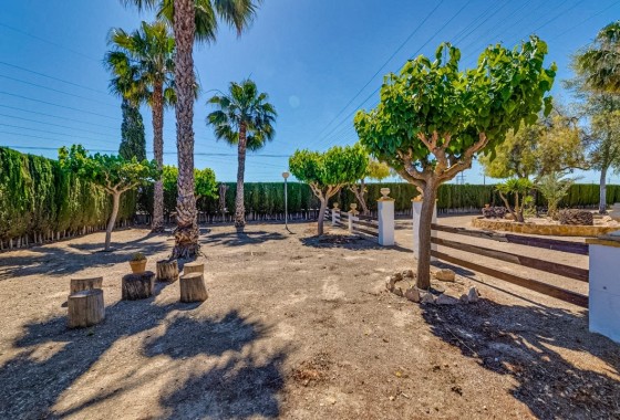 Herverkoop - Finca Landelijk pand -
Jacarilla