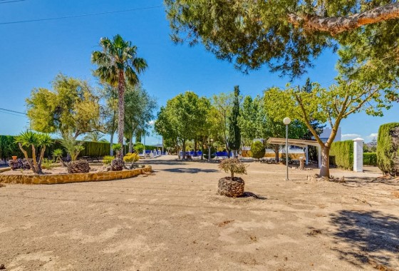 Herverkoop - Finca Landelijk pand -
Jacarilla