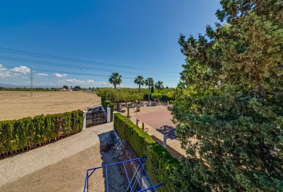 Herverkoop - Finca Landelijk pand -
Jacarilla