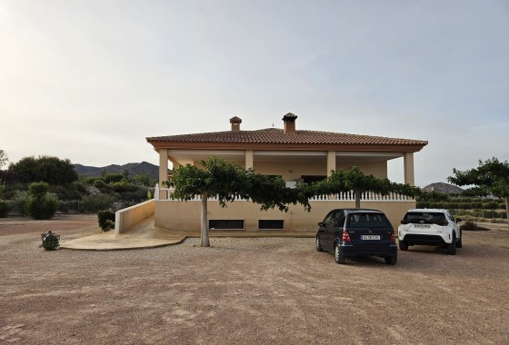 Sprzedaż - Finca nieruchomość wiejska -
Novelda