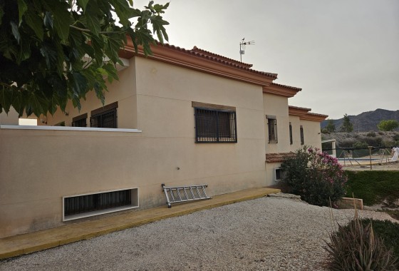 Sprzedaż - Finca nieruchomość wiejska -
Novelda