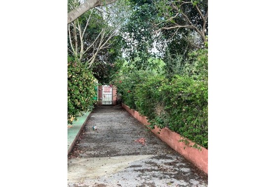 Herverkoop - Finca Landelijk pand -
Torrevieja