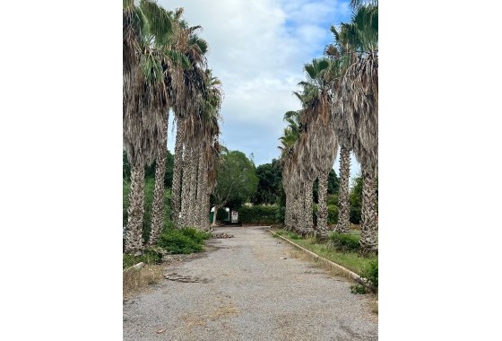 Herverkoop - Finca Landelijk pand -
Torrevieja