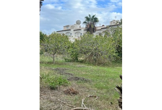 Herverkoop - Finca Landelijk pand -
Torrevieja