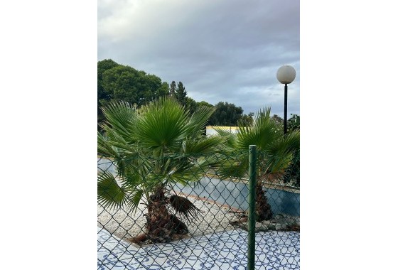 Herverkoop - Finca Landelijk pand -
Torrevieja