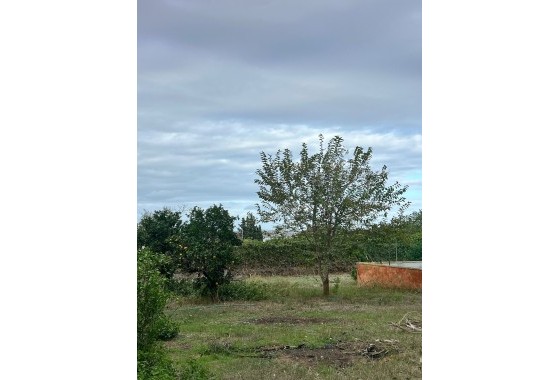 Herverkoop - Finca Landelijk pand -
Torrevieja