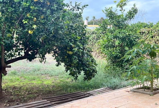 Herverkoop - Finca Landelijk pand -
Torrevieja